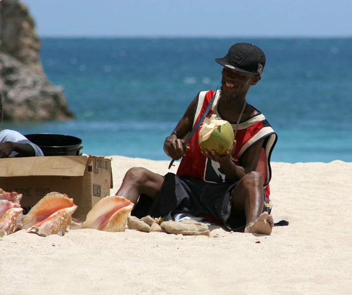 Coconut Cutter.jpg